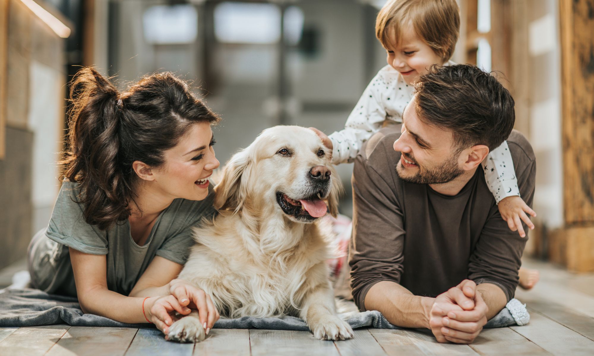 Hundewellness
